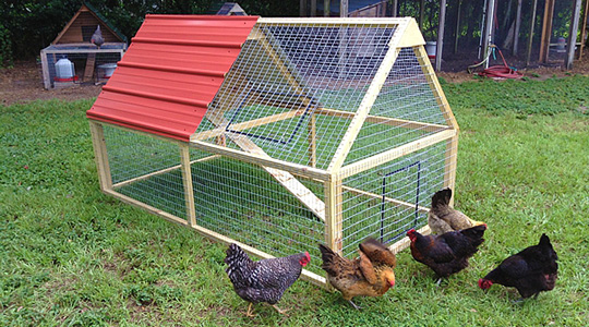 Chicken Coop 5: 4' x 8' A-frame Half Roof, up to 6 chickens