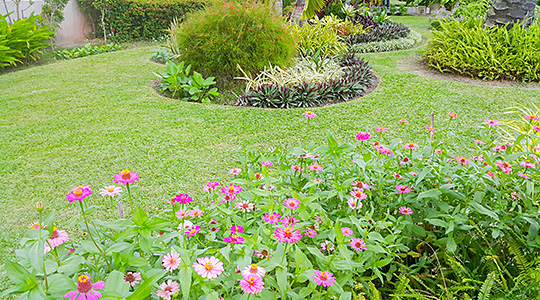 Chicken Coop 5: 4' x 8' A-frame Half Roof, up to 6 chickens